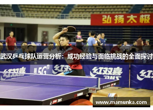 武汉乒乓球队运营分析：成功经验与面临挑战的全面探讨