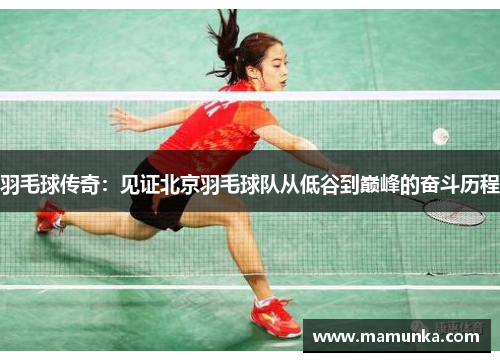 羽毛球传奇：见证北京羽毛球队从低谷到巅峰的奋斗历程