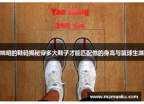 姚明的鞋码揭秘穿多大鞋子才能匹配他的身高与篮球生涯